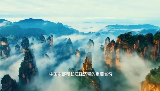  張家界被外交部全球推介，桑植白茶亮相冷餐招待會(huì)！ 