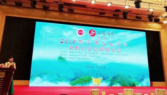 相約春天，湘豐桑植白茶正式發(fā)布 