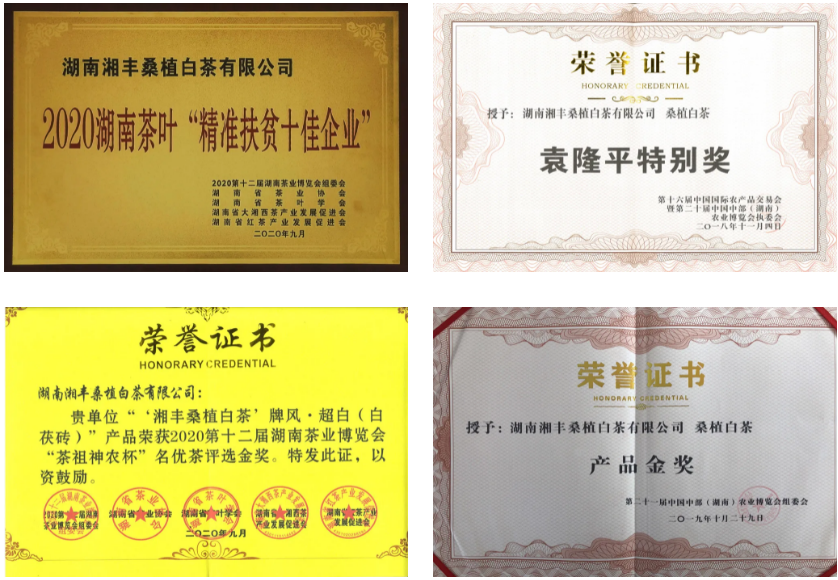 榮譽與資質(zhì).png