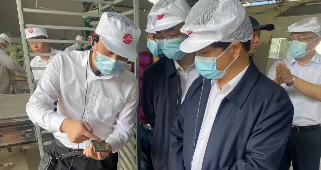 湖南省科技廳副廳長周建元帶隊考察調研湘豐桑植白茶公司