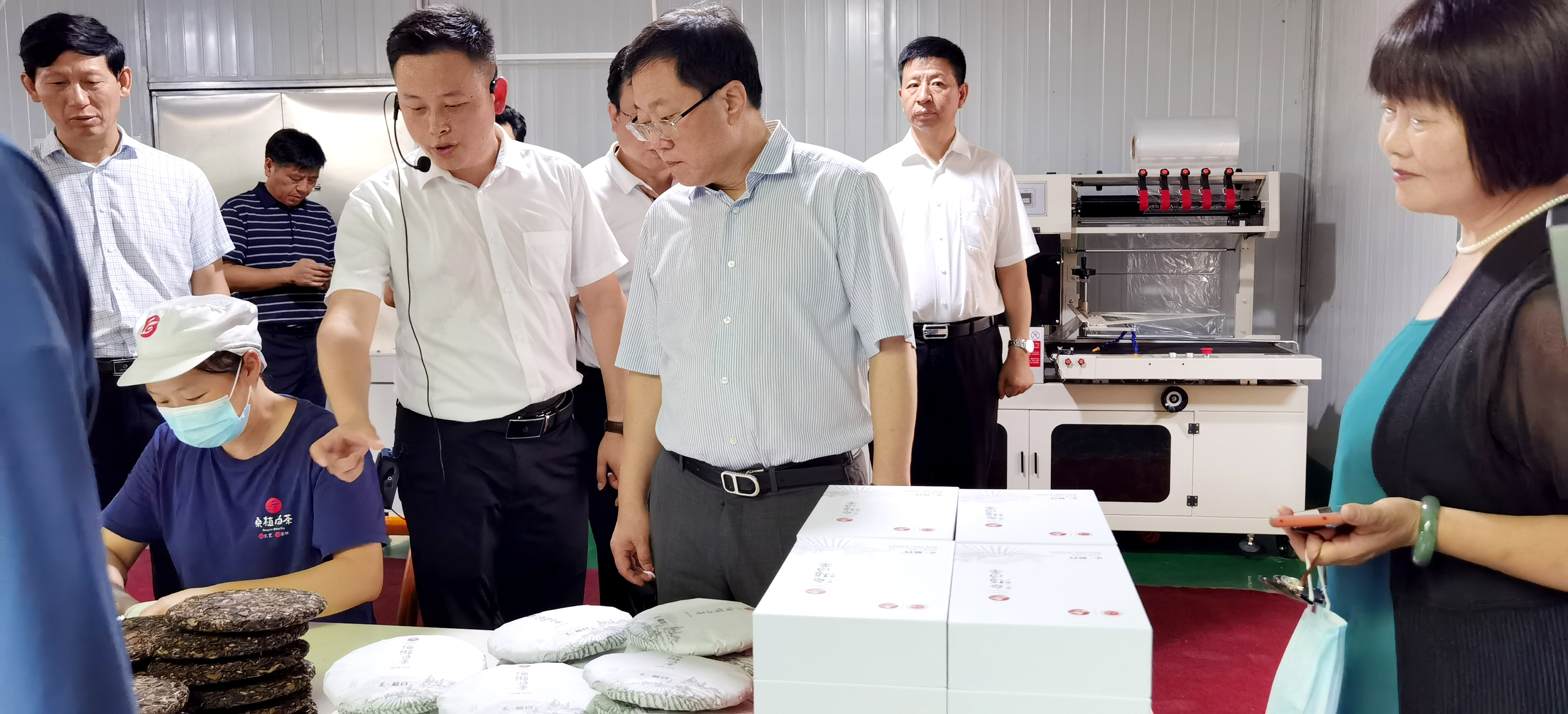 省人大常委會副主任陳文浩帶隊調(diào)研湘豐桑植白茶公司