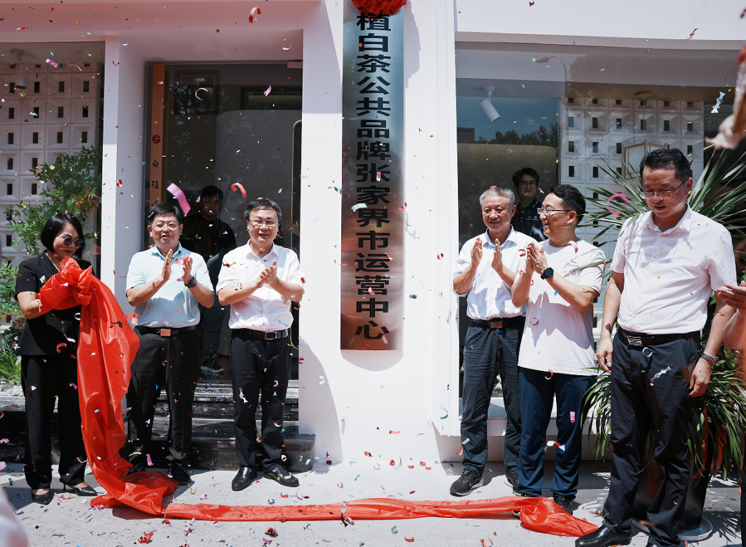 喜報！張家界白莓旗艦店盛裝開業(yè)暨桑植白茶公共品牌張家界市運營中心隆重揭牌！
