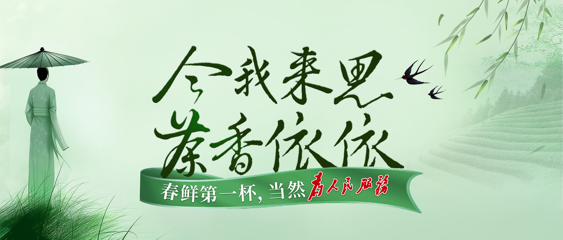 今我來(lái)思，茶香依依，湘豐春茶，爭(zhēng)鮮而來(lái)！